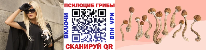 Купить где  Невинномысск  Галлюциногенные грибы мухоморы 